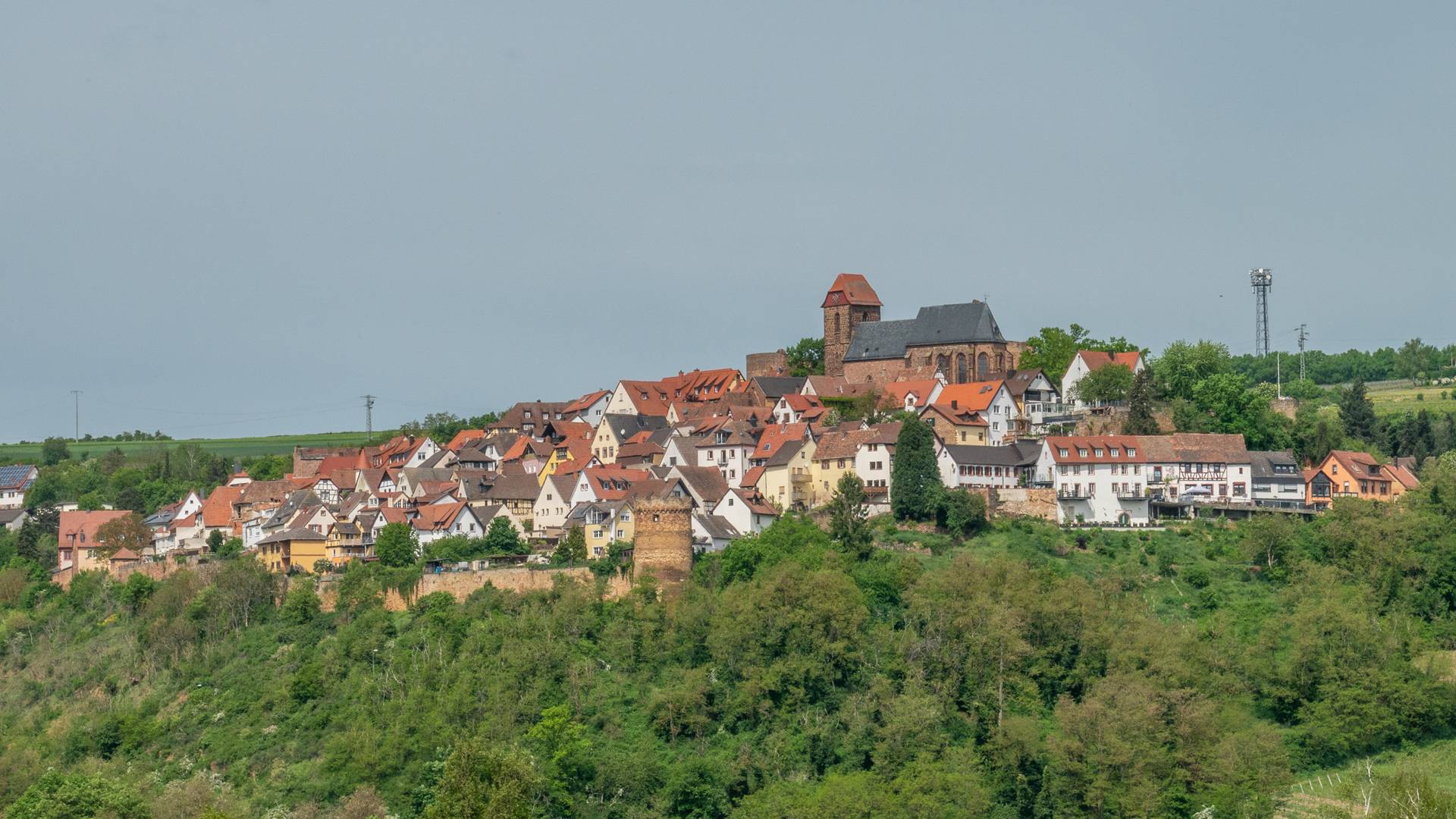 Bei Sausenheim