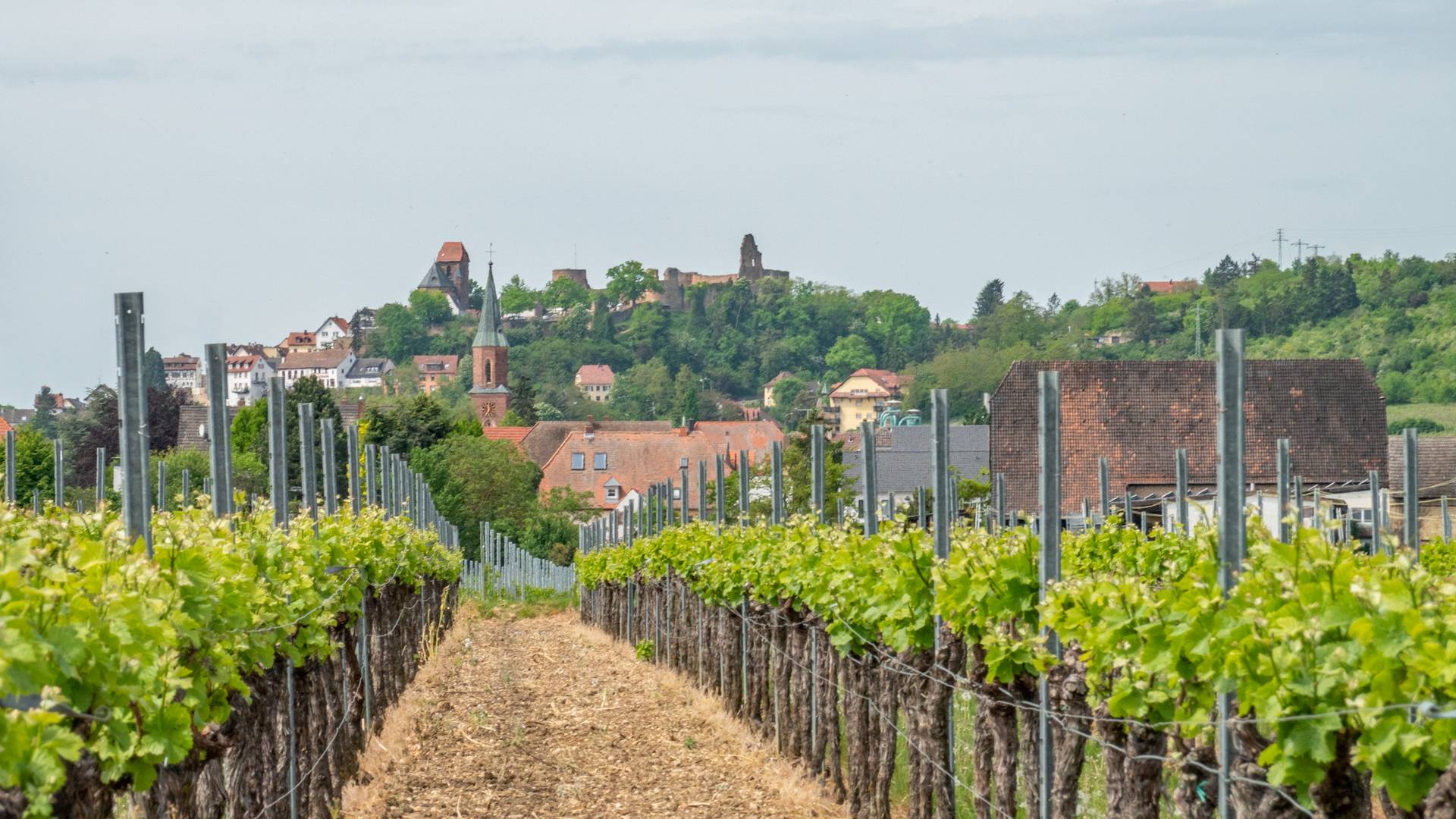 Bei Sausenheim