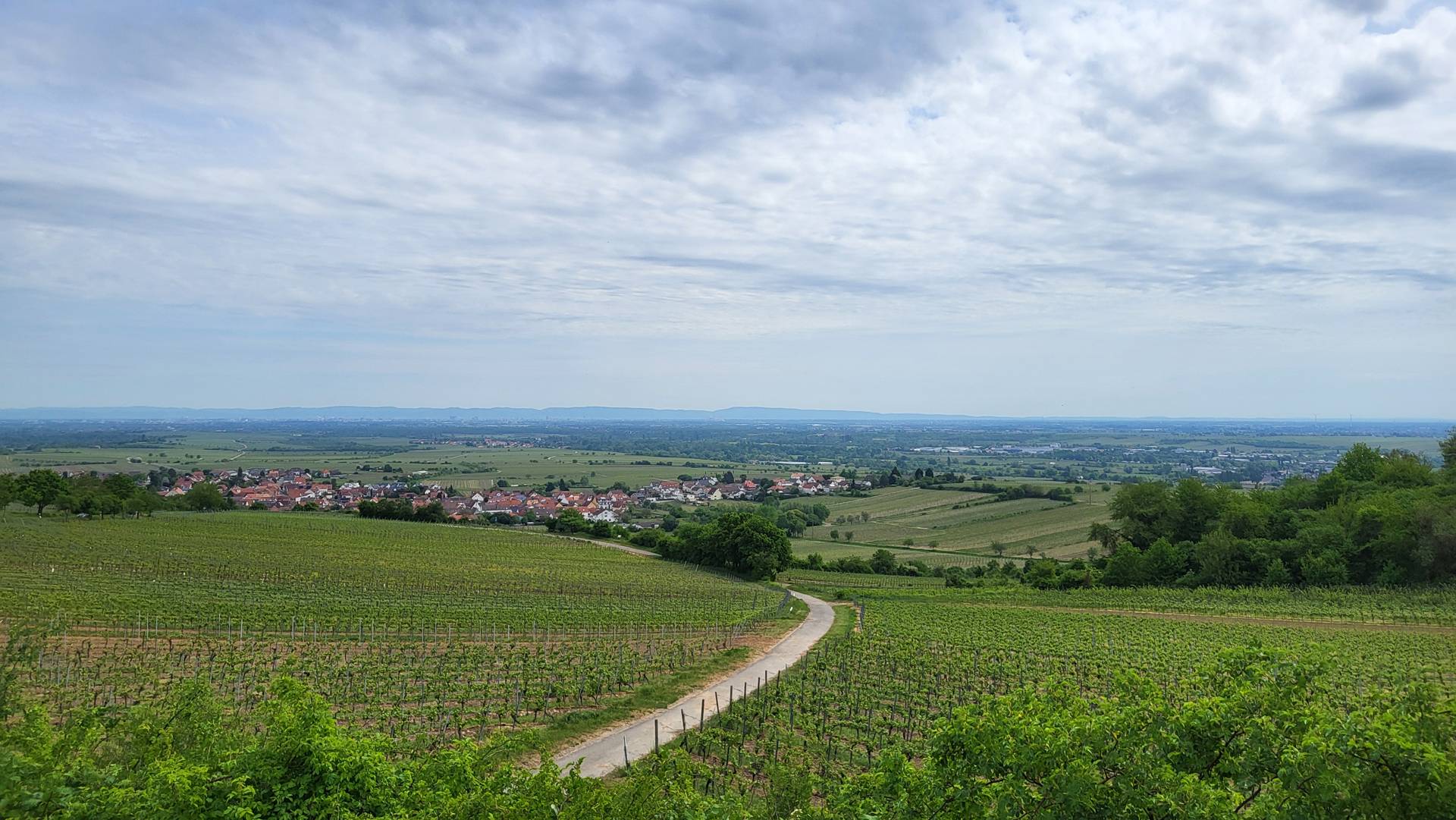 Ausblick von Leistadt in das Rheintal