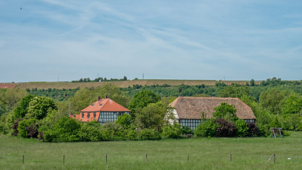 Ludwigsaue