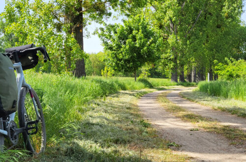 Eurovelo 15, Rheinradweg