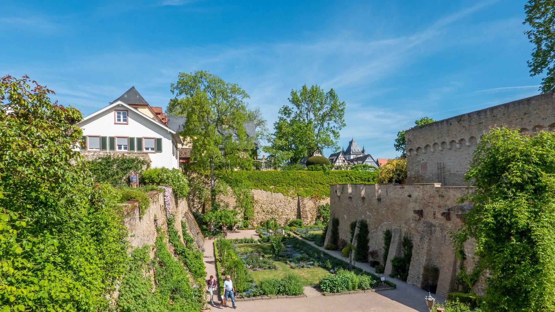 Schloss Eltville (Burg Eltville)