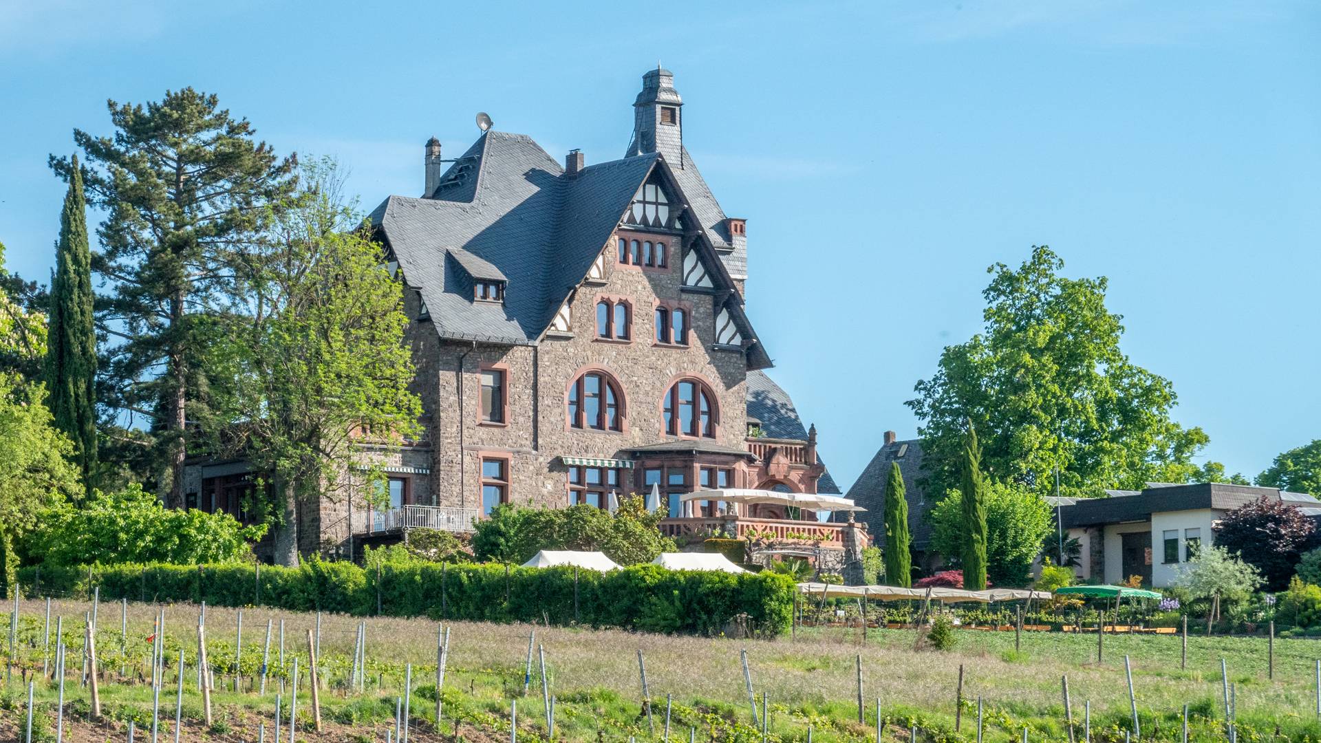 Villa Gutenberg Weingut