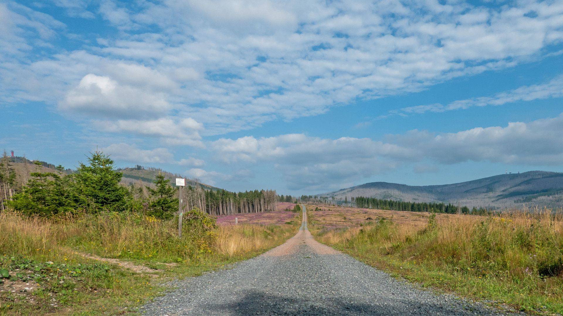 Schotterweg im Harz ohne Wald